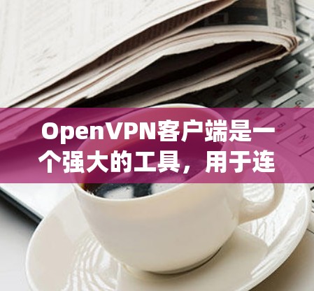 OpenVPN客户端是一个强大的工具，用于连接到OpenVPN服务器，提供安全的点对点通信，保护隐私并访问受限的网络资源。以下是使用OpenVPN客户端的分步指南