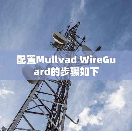 配置Mullvad WireGuard的步骤如下
