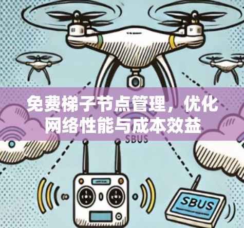 免费梯子节点管理，优化网络性能与成本效益