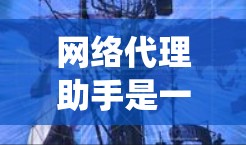 网络代理助手是一种帮助用户管理网络连接和数据传输的工具，通过代理服务器来匿名化、加速或安全地访问互联网资源。它通常用于保护隐私、绕过网络限制或优化网络性能。以下是网络代理助手的主要功能和常见类型