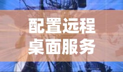 配置远程桌面服务可能会遇到一些常见问题，比如权限问题或网络连接问题。以下是一些可能遇到的问题及解决方法