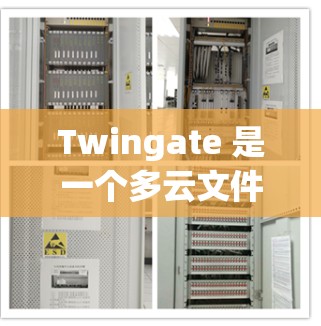 Twingate 是一个多云文件管理和同步工具，用户可以通过客户端方便地管理和同步云存储空间中的文件。以下是获取和安装Twingate客户端的基本步骤和信息