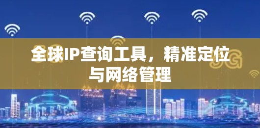 全球IP查询工具,精准定位与网络管理 全球IP查询工具,精准定位与网络管理