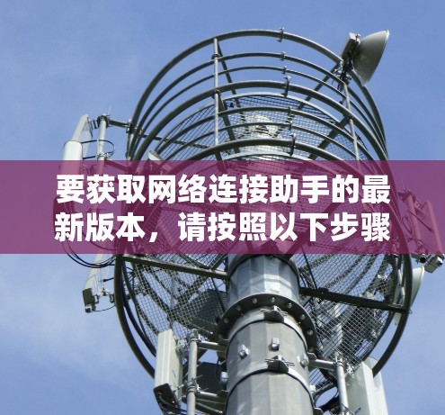 要获取网络连接助手的最新版本,请按照以下步骤操作