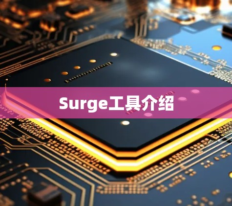 Surge工具介绍
