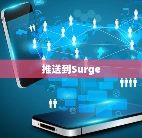 推送到Surge 推送到Surge