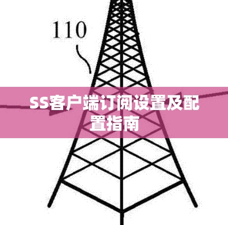 SS客户端订阅设置及配置指南