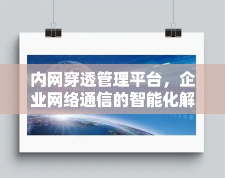 内网穿透管理平台,企业网络通信的智能化解决方案 内网穿透管理平台,企业网络通信的智能化解决方案