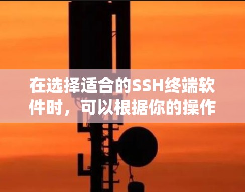 在选择适合的SSH终端软件时，可以根据你的操作系统和需求进行以下分析和选择