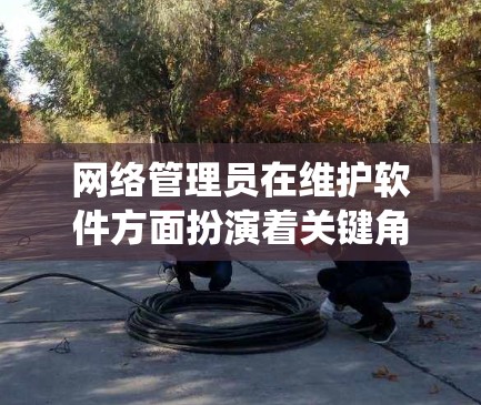 网络管理员在维护软件方面扮演着关键角色，确保网络系统的稳定和安全。以下是该职位的主要任务和操作步骤
