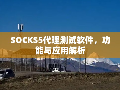 SOCKS5代理测试软件,功能与应用解析