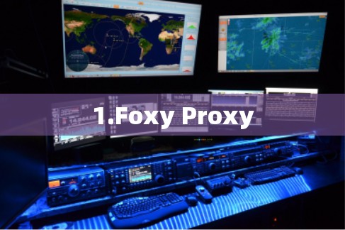 1.Foxy Proxy 1.Foxy Proxy