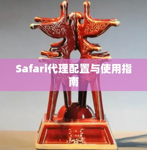 Safari代理配置与使用指南 Safari代理配置与使用指南