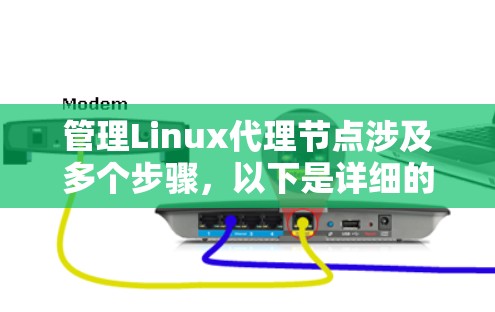 管理Linux代理节点涉及多个步骤,以下是详细的分步骤指南 管理Linux代理节点涉及多个步骤,以下是详细的分步骤指南