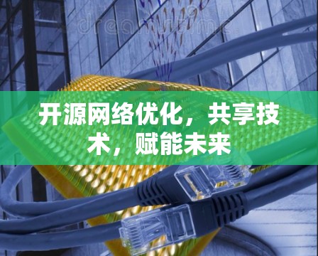 开源<strong>网络优化</strong>,共享技术,赋能未来