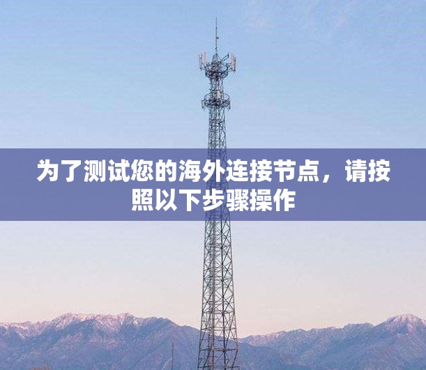 为了测试您的海外连接节点，请按照以下步骤操作