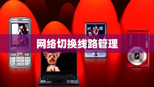 网络切换线路管理