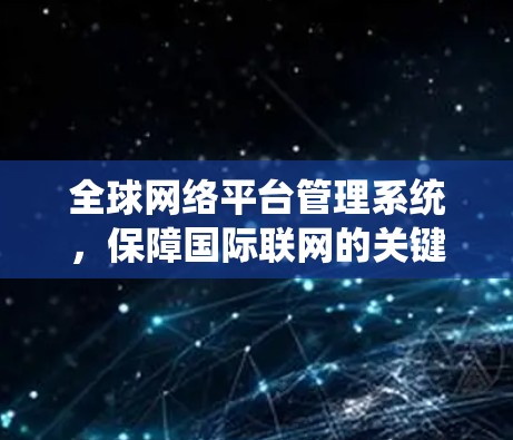 全球网络平台管理系统，保障国际联网的关键技术