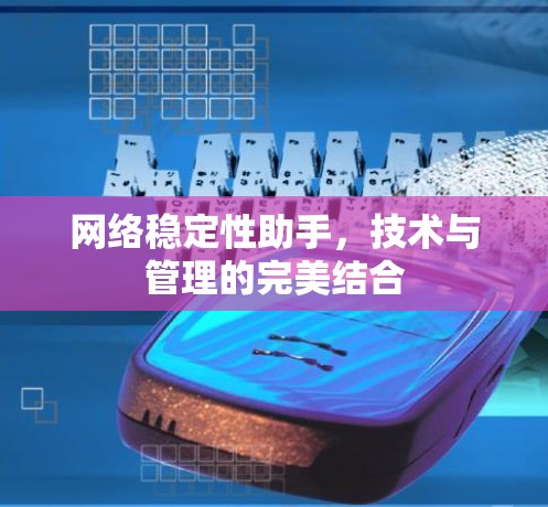 网络稳定性助手,技术与管理的完美结合 网络稳定性助手,技术与管理的完美结合
