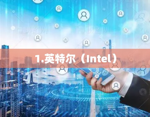 1.英特尔(Intel) 1.英特尔(Intel)