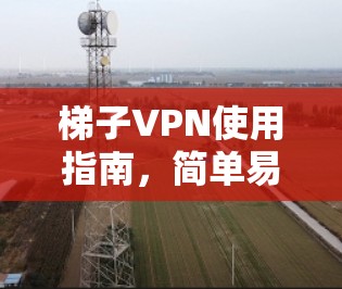 梯子VPN使用指南,简单易懂的网络安全解决方案 梯子VPN使用指南,简单易懂的网络安全解决方案