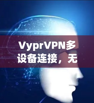 VyprVPN多设备连接,无缝办公,畅通网络 VyprVPN多设备连接,无缝办公,畅通网络