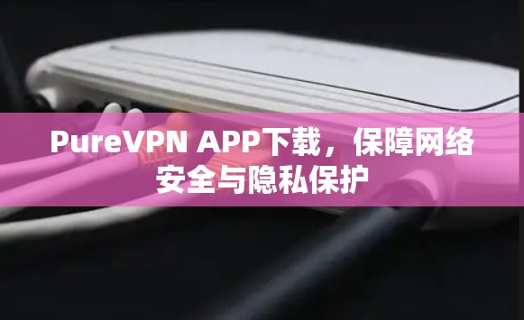 PureVPN APP下载，保障网络安全与隐私保护