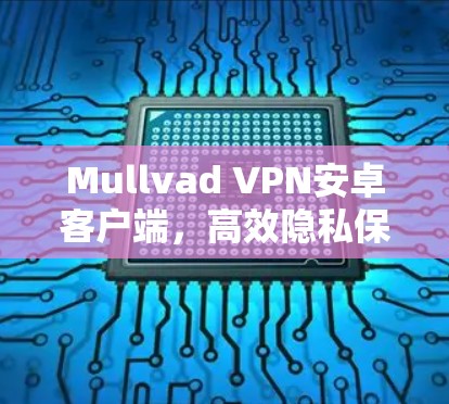Mullvad VPN安卓客户端，高效隐私保护与网络安全
