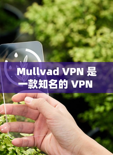 Mullvad VPN 是一款知名的 VPN 服务提供商,其电脑软件提供了安全、隐私保护和高效的网络连接体验。以下是关于 Mullvad VPN 电脑软件的详细介绍和使用指南