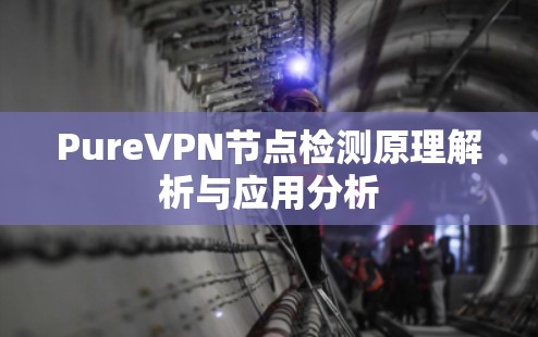 PureVPN节点检测原理解析与应用分析