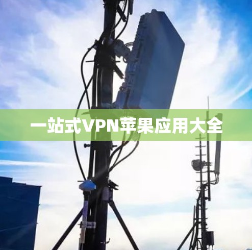 一站式VPN苹果应用大全