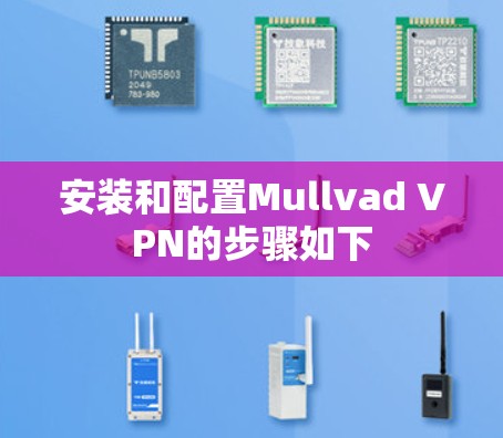 安装和配置Mullvad VPN的步骤如下