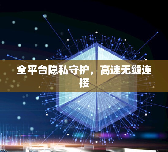 全平台隐私守护，高速无缝连接
