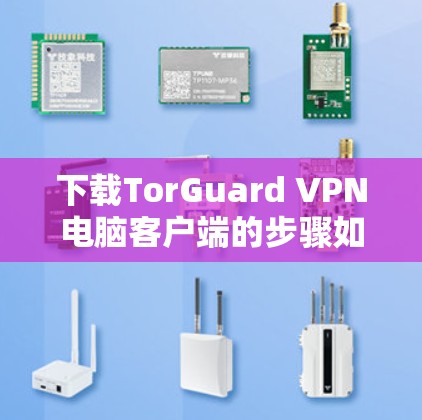 下载TorGuard VPN电脑客户端的步骤如下