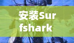 安装Surfshark VPN在多个设备上是一个简单的过程，但可能会让新手感到困惑。以下是详细的步骤指南，帮助你在Windows、Mac、iOS和Android设备上安装Surfshark VPN