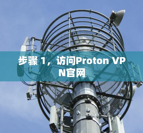 步骤 1,访问Proton VPN官网
