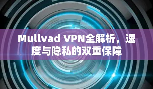 Mullvad VPN全解析,速度与隐私的双重保障