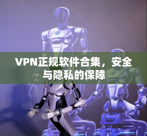 VPN正规软件合集,安全与隐私的保障