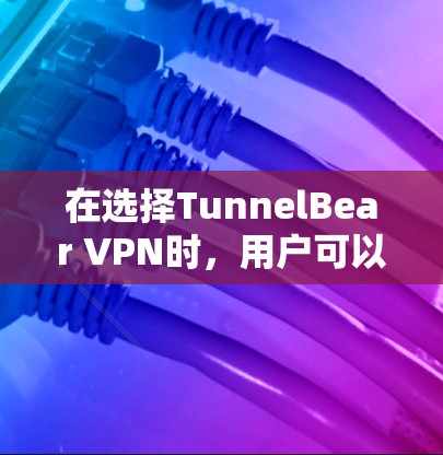 在选择TunnelBear VPN时,用户可以根据自己的需求和预算来决定适合自己的套餐和版本。以下是根据不同用户需求和优先级的推荐排序