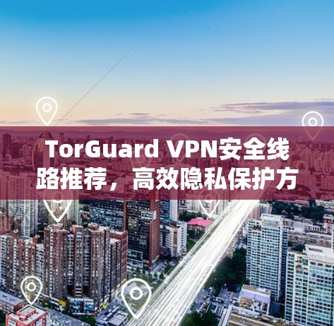 TorGuard VPN安全线路推荐,高效隐私保护方案