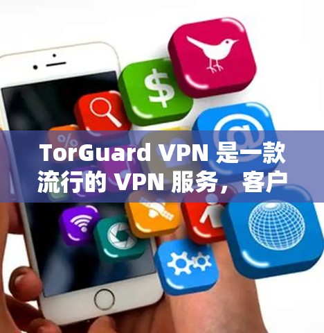 TorGuard VPN 是一款流行的 VPN 服务,客户端更新和下载可以通过以下步骤进行