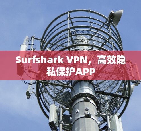 Surfshark VPN，高效隐私保护APP