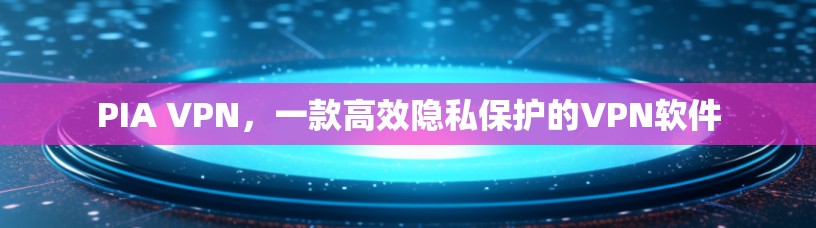 PIA VPN，一款高效隐私保护的VPN软件