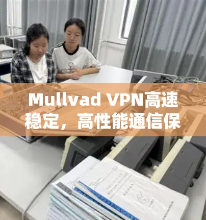 Mullvad VPN高速稳定，高性能通信保障