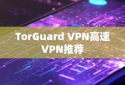 TorGuard VPN高速VPN推荐