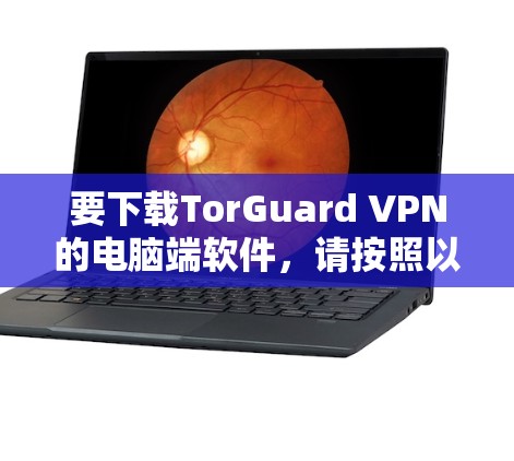 要下载TorGuard VPN的电脑端软件,请按照以下步骤操作