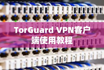 TorGuard VPN客户端使用教程