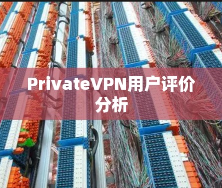PrivateVPN用户评价分析