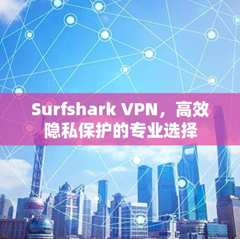 Surfshark VPN，高效隐私保护的专业选择