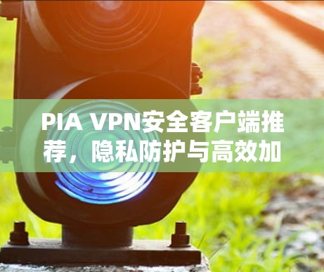 PIA VPN安全客户端推荐,隐私防护与高效加密全方位保障